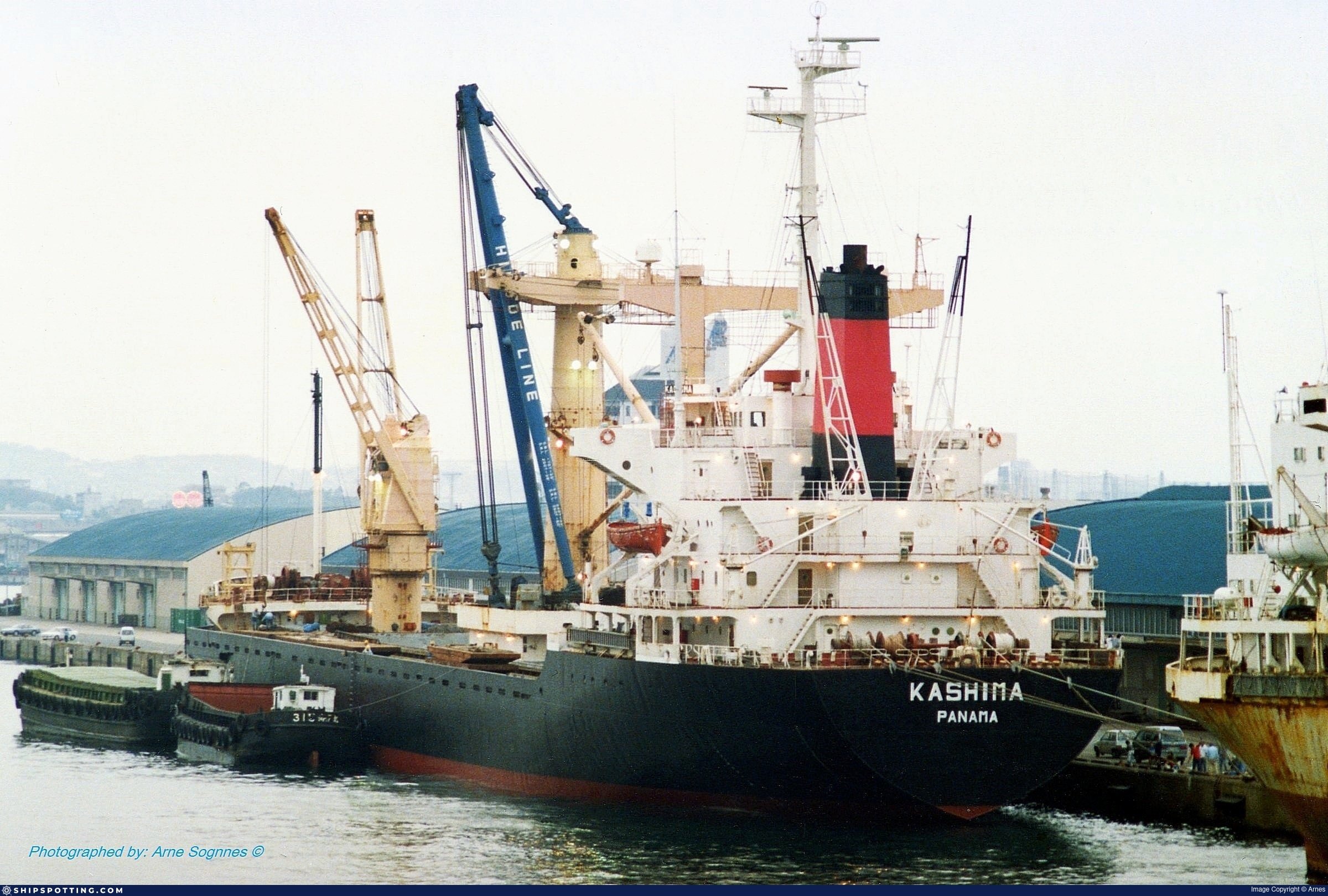 ⚓ 항구 공원 (미나토 코엔) 이미지 7